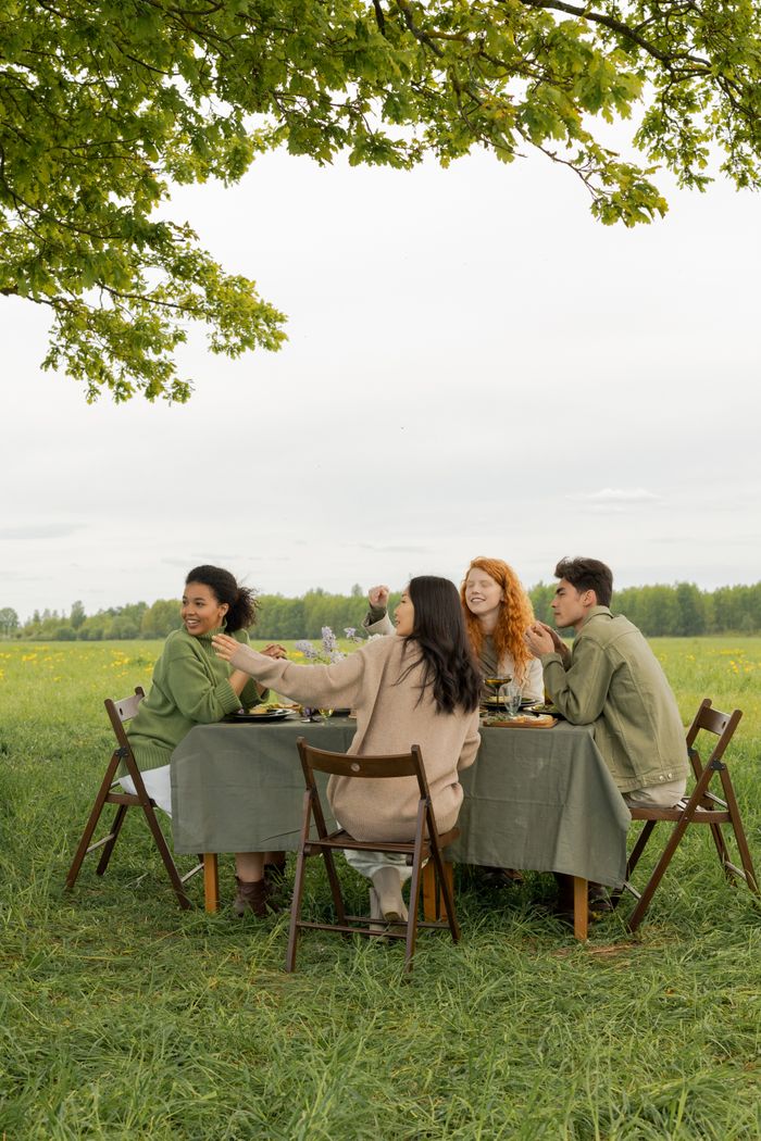 Friends enjoying a picnic in a grassy field, seated around a table under the trees.